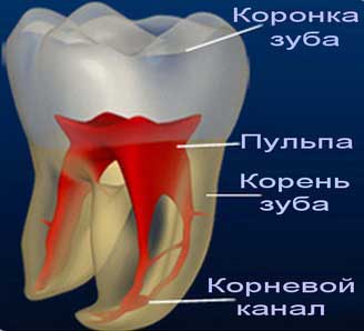 Лечение пульпита стоматология Мытищи м. Медведково